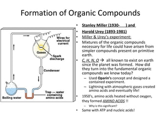 Formation of Organic Compounds
• Stanley Miller (1930- ) and
• Harold Urey (1893-1981)
• Miller & Urey’s experiment:
• Mixtures of the organic compounds
necessary for life could have arisen from
simpler compounds present on primitive
earth.
• C, H, N, O  all known to exist on earth
since the planet was formed. How did
they turn into the fundamental organic
compounds we know today?
– Used Oparin’s concept and designed a
contained experiment.
– Lightning with atmospheric gases created
amino acids and eventually life!
• 1950’s, amino acids heated without oxygen,
they formed AMINO ACIDS !!
– Why is this significant?
• Same with ATP and nucleic acids!
 