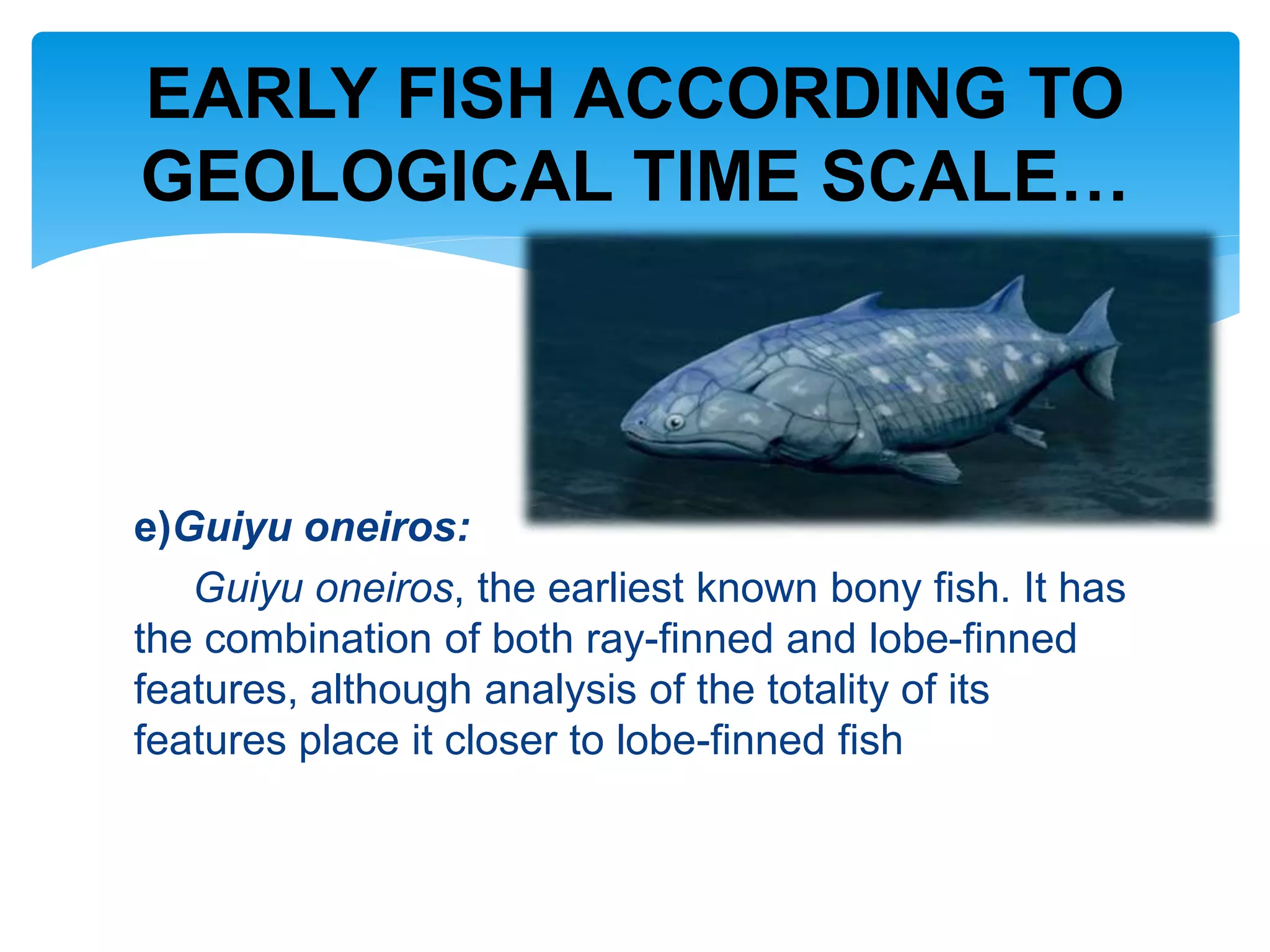 Evolution of fish (Early fish) | PPTX
