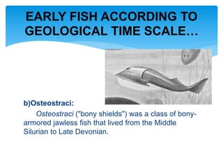 b)Osteostraci:
Osteostraci ("bony shields") was a class of bony-
armored jawless fish that lived from the Middle
Silurian to Late Devonian.
EARLY FISH ACCORDING TO
GEOLOGICAL TIME SCALE…
 