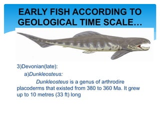 3)Devonian(late):
a)Dunkleosteus:
Dunkleosteus is a genus of arthrodire
placoderms that existed from 380 to 360 Ma. It grew
up to 10 metres (33 ft) long
EARLY FISH ACCORDING TO
GEOLOGICAL TIME SCALE…
 