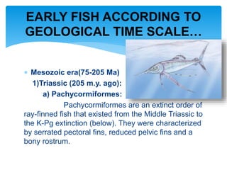  Mesozoic era(75-205 Ma)
1)Triassic (205 m.y. ago):
a) Pachycormiformes:
Pachycormiformes are an extinct order of
ray-finned fish that existed from the Middle Triassic to
the K-Pg extinction (below). They were characterized
by serrated pectoral fins, reduced pelvic fins and a
bony rostrum.
EARLY FISH ACCORDING TO
GEOLOGICAL TIME SCALE…
 