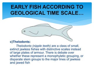 c)Thelodonts:
Thelodonts (nipple teeth) are a class of small,
extinct jawless fishes with distinctive scales instead
of large plates of armour. There is debate over
whether these represent a monophyletic grouping, or
disparate stem groups to the major lines of jawless
and jawed fish
EARLY FISH ACCORDING TO
GEOLOGICAL TIME SCALE…
 