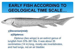 3)Devonian(mid):
a)Dipterus:
Dipterus (two wings) is an extinct genus of
lungfish from 376–361 Ma. It was about 35
centimetres (14 in) long, mostly ate invertebrates,
and had lungs, not an air bladder.
EARLY FISH ACCORDING TO
GEOLOGICAL TIME SCALE…
 