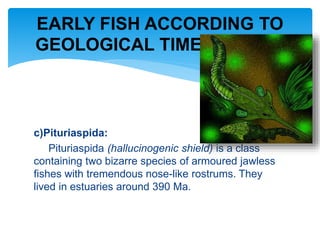 c)Pituriaspida:
Pituriaspida (hallucinogenic shield) is a class
containing two bizarre species of armoured jawless
fishes with tremendous nose-like rostrums. They
lived in estuaries around 390 Ma.
EARLY FISH ACCORDING TO
GEOLOGICAL TIME SCALE…
 