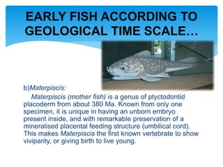 b)Materpiscis:
Materpiscis (mother fish) is a genus of ptyctodontid
placoderm from about 380 Ma. Known from only one
specimen, it is unique in having an unborn embryo
present inside, and with remarkable preservation of a
mineralised placental feeding structure (umbilical cord).
This makes Materpiscis the first known vertebrate to show
viviparity, or giving birth to live young.
EARLY FISH ACCORDING TO
GEOLOGICAL TIME SCALE…
 