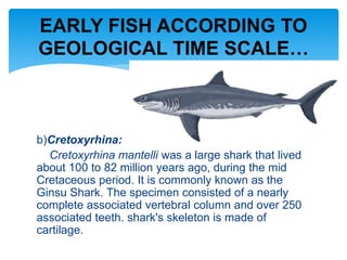 b)Cretoxyrhina:
Cretoxyrhina mantelli was a large shark that lived
about 100 to 82 million years ago, during the mid
Cretaceous period. It is commonly known as the
Ginsu Shark. The specimen consisted of a nearly
complete associated vertebral column and over 250
associated teeth. shark's skeleton is made of
cartilage.
EARLY FISH ACCORDING TO
GEOLOGICAL TIME SCALE…
 