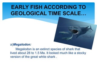 a)Megalodon:
Megalodon is an extinct species of shark that
lived about 28 to 1.5 Ma. It looked much like a stocky
version of the great white shark .
EARLY FISH ACCORDING TO
GEOLOGICAL TIME SCALE…
 