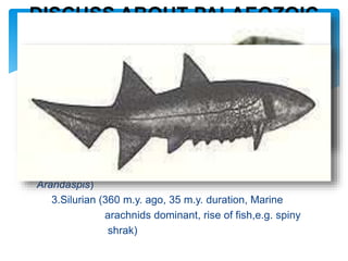  Paleozoic era divided into 7 periods:
1.Cambrium (505 m.y. ago, 80 m.y. duration,Trilobites
present, No fish in this period)
2.Ordovician (425 m.y. ago, 65 m.y. duration, First fish
found, probably freshwater, e.g.
Arandaspis)
3.Silurian (360 m.y. ago, 35 m.y. duration, Marine
arachnids dominant, rise of fish,e.g. spiny
shrak)
DISCUSS ABOUT PALAEOZOIC
ERA ON THE BASIS OF EARLY
FISH
 