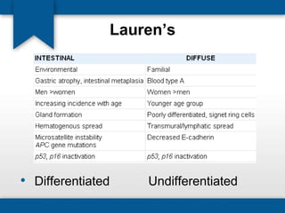 Lauren’s 
• Differentiated Undifferentiated 
 