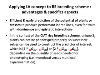 Early generation selection in an intra population recurrent selection breeding program within a synthetic population 