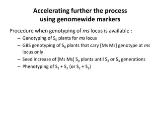 Early generation selection in an intra population recurrent selection breeding program within a synthetic population 