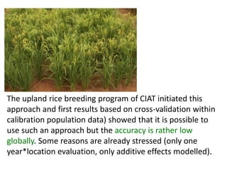 Early generation selection in an intra population recurrent selection breeding program within a synthetic population 