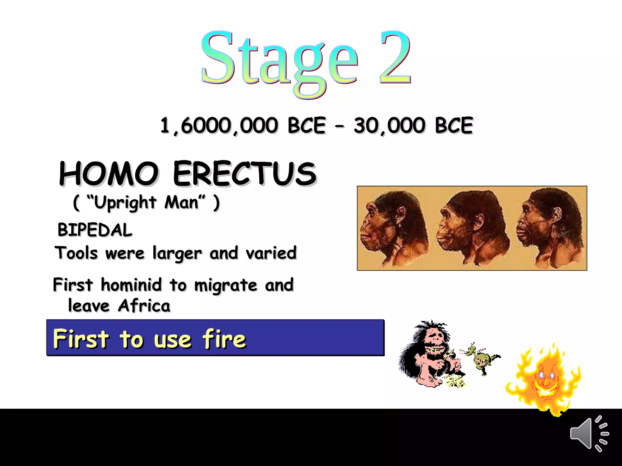 Stage 2 1,6000,000 BCE – 30,000 BCE HOMO ERECTUS    ( “Upright Man” ) Tools were larger and varied First hominid to migrate and   leave Africa First to use fire  BIPEDAL 