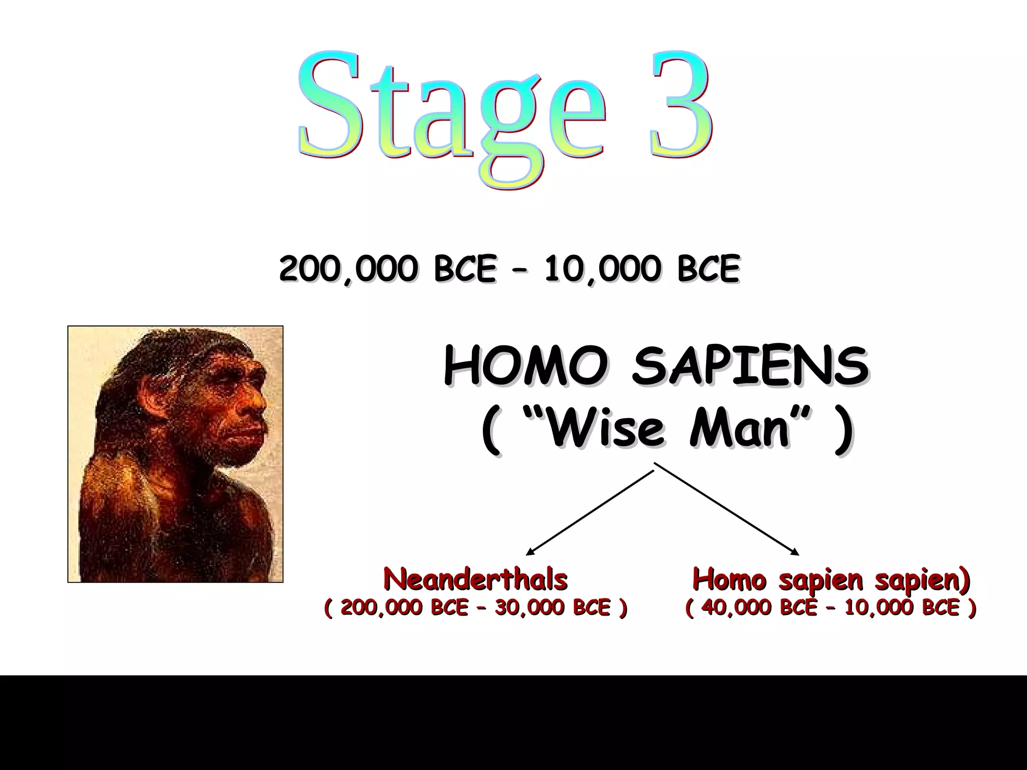 Stage 3 200,000 BCE – 10,000 BCE HOMO SAPIENS   ( “Wise Man” ) Neanderthals ( 200,000 BCE – 30,000 BCE ) Homo sapien sapien) ( 40,000 BCE – 10,000 BCE ) 