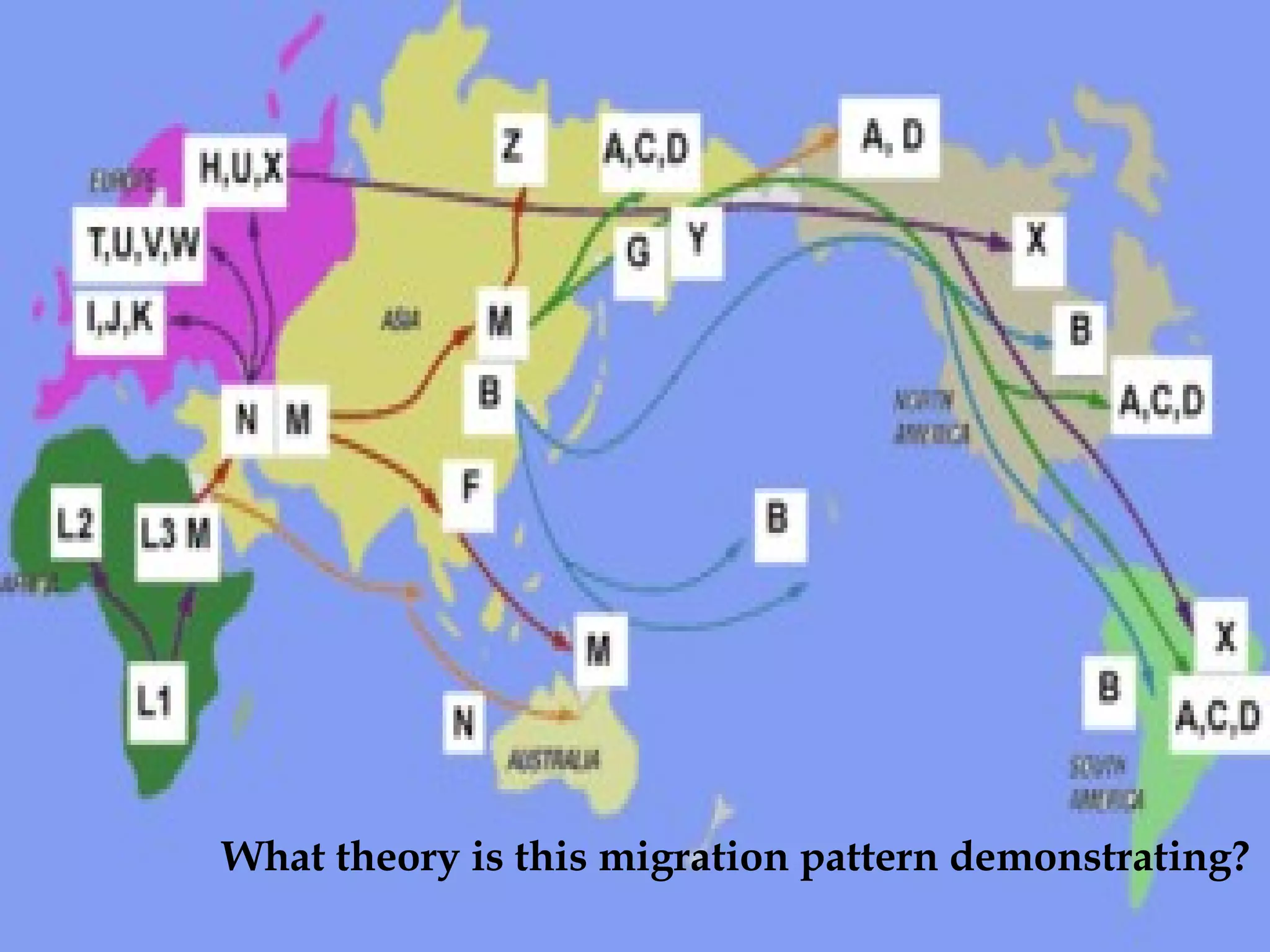 What theory is this migration pattern demonstrating? 