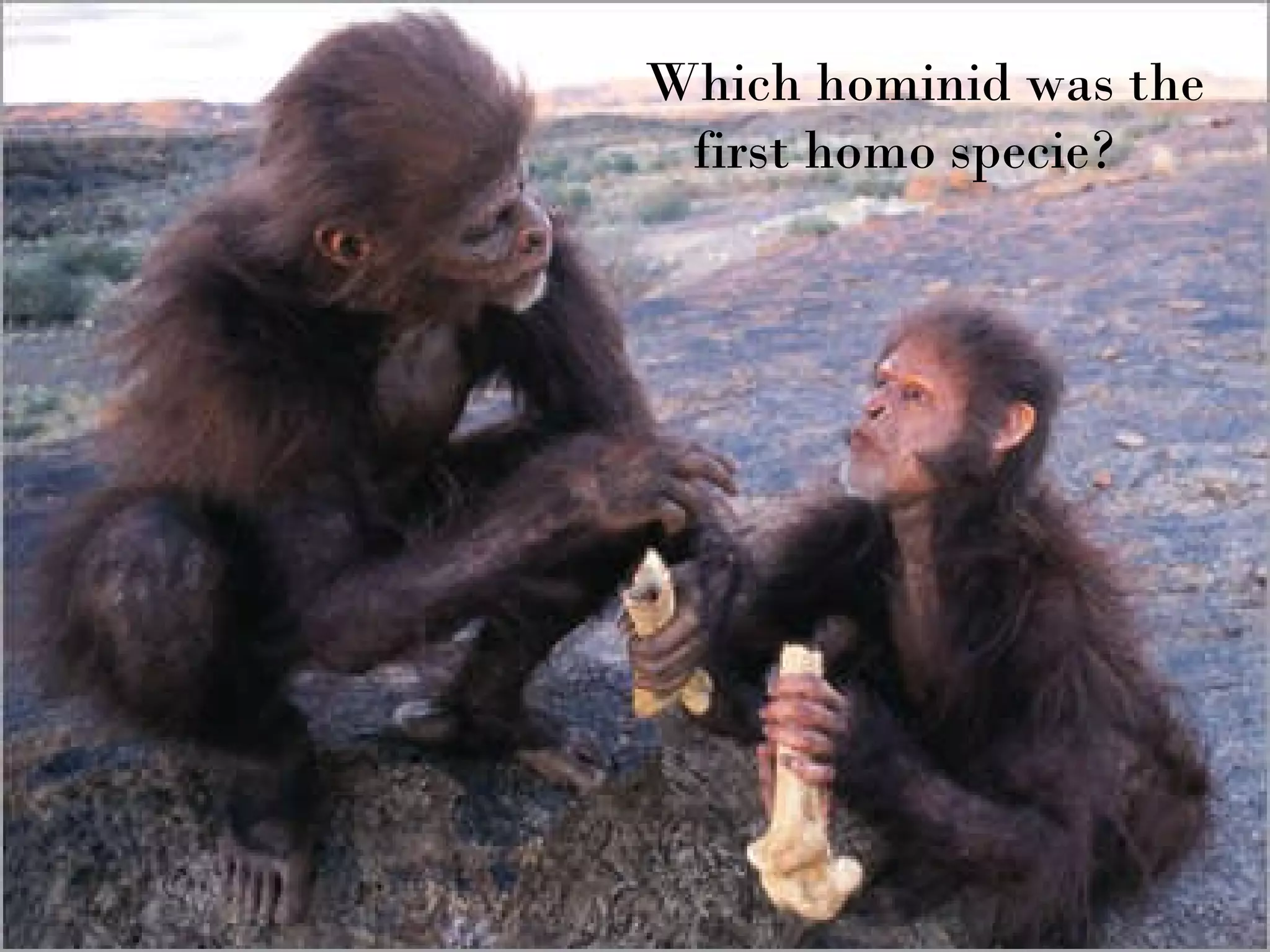 Which hominid was the first homo specie?  