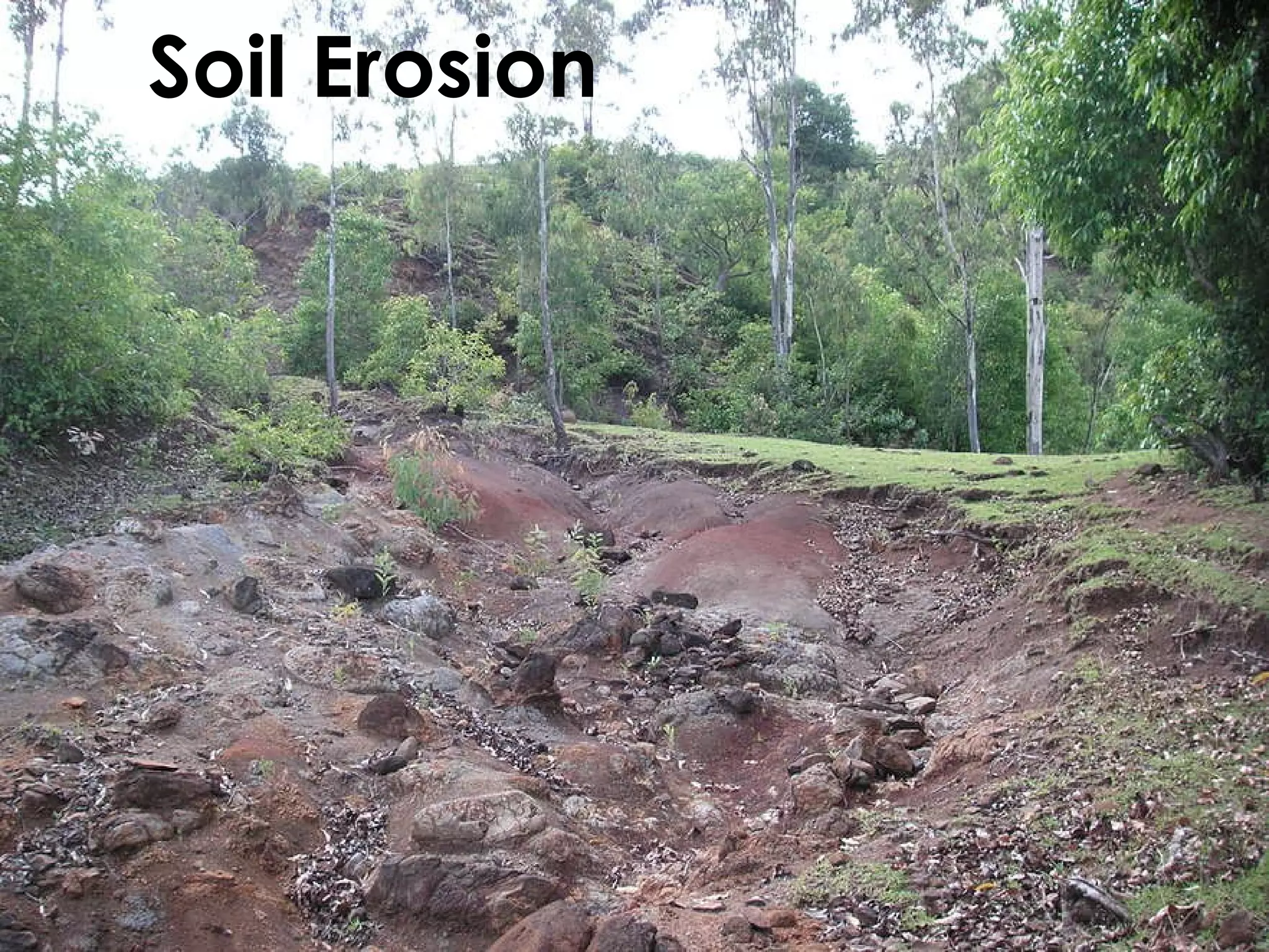Soil Erosion 