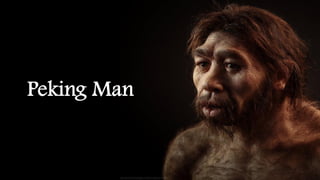 Early Humans: Stages of Biological and Cultural Evolution