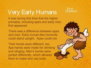 Very Early Humans
It was during this time that the higher
primates, including apes and early man,
first appeared.
There was a difference between apes
and man. Early human-like hominids
could stand upright. Apes could not.
Their hands were different, too.
Ape hands were made for climbing
and clinging. Man’s hands were
jointed differently, which allowed
them to make and use tools.
 
