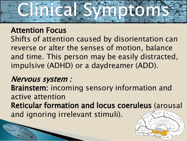 Successful relationship essay picture