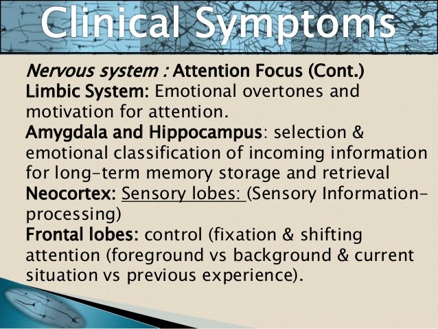 Bad relationship essay picture