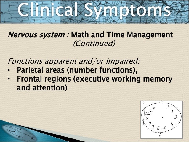 Early relationship essay image