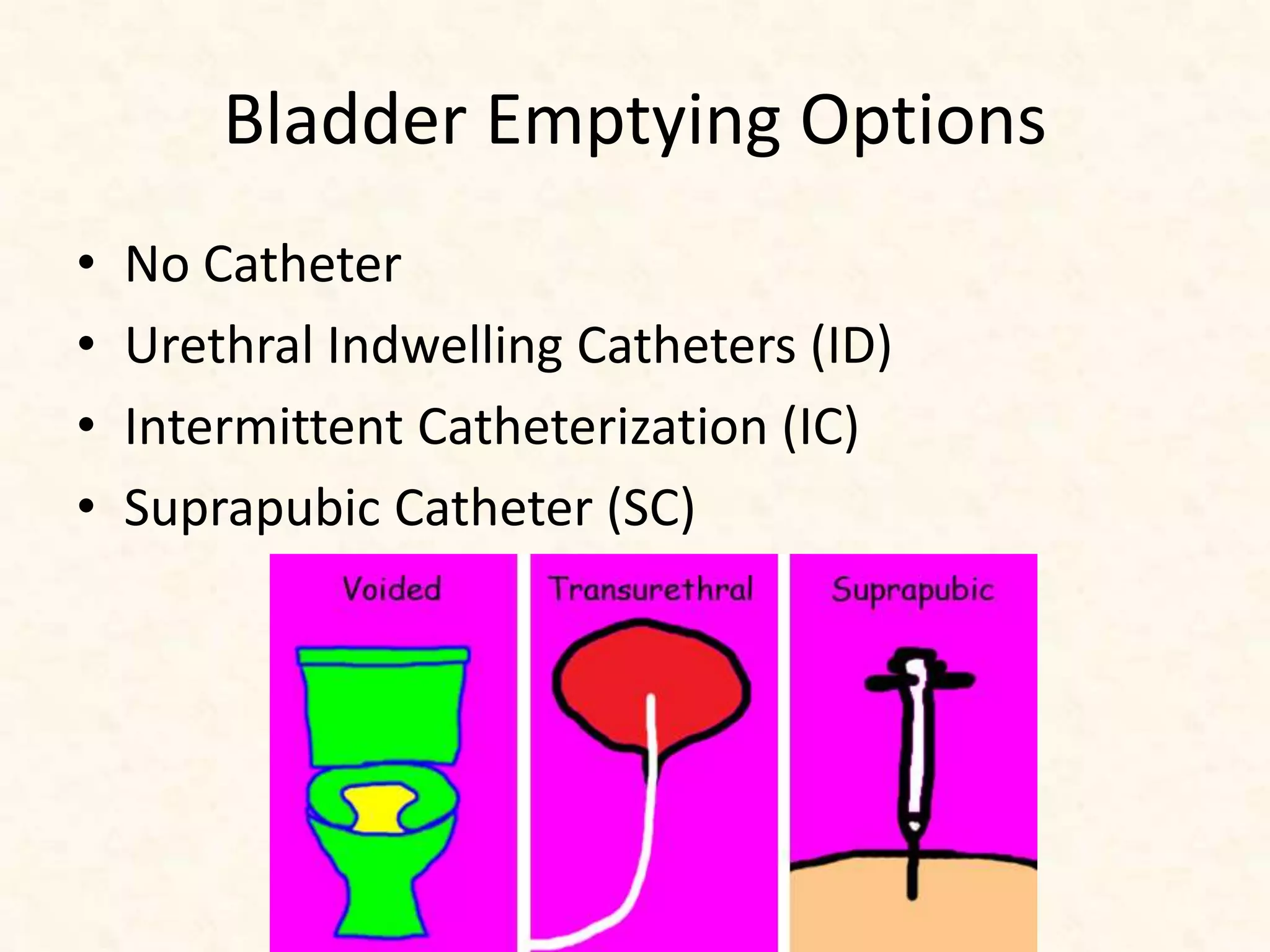 Bladder Emptying Options
• No Catheter
• Urethral Indwelling Catheters (ID)
• Intermittent Catheterization (IC)
• Suprapubic Catheter (SC)
 