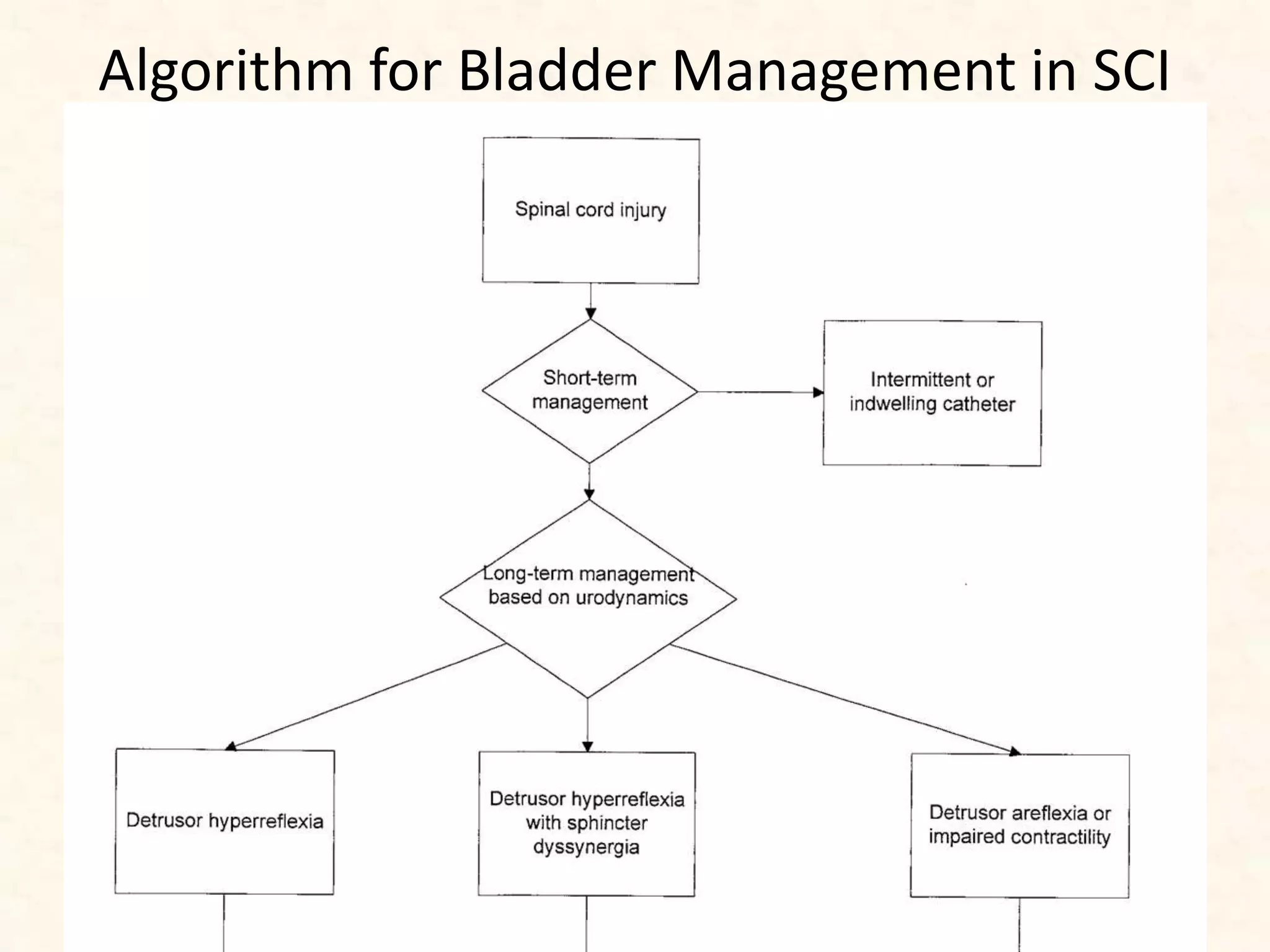 Algorithm for Bladder Management in SCI
 