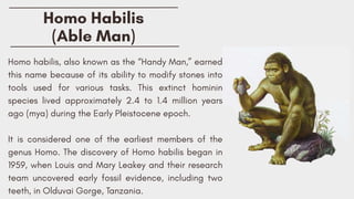 EARLY MAN IN ASIA AND IT'S EVOLUTION OF HUMAN | PDF