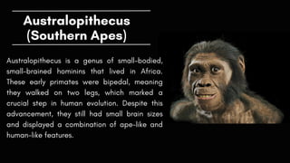 EARLY MAN IN ASIA AND IT'S EVOLUTION OF HUMAN | PDF