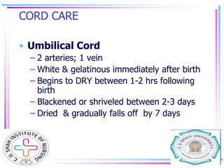 CORD CARE
• Umbilical Cord
– 2 arteries; 1 vein
– White & gelatinous immediately after birth
– Begins to DRY between 1-2 h...