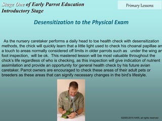 Parrot Method Early Parrot Education - Stage 1 - Introductory | PPTX