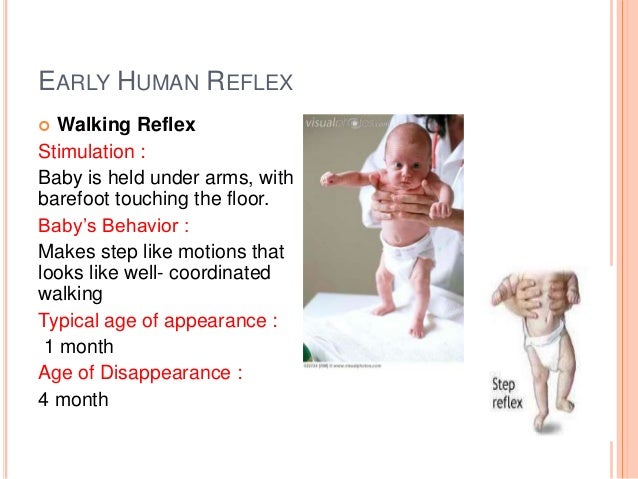 Human Development :Early physical development