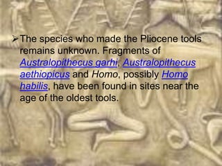 The species who made the Pliocene tools
 remains unknown. Fragments of
 Australopithecus garhi, Australopithecus
 aethiopicus and Homo, possibly Homo
 habilis, have been found in sites near the
 age of the oldest tools.
 