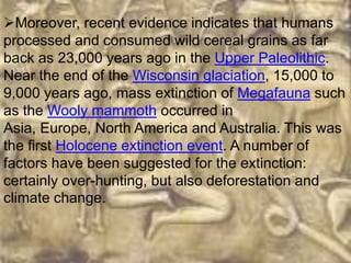 Moreover, recent evidence indicates that humans
processed and consumed wild cereal grains as far
back as 23,000 years ago in the Upper Paleolithic.
Near the end of the Wisconsin glaciation, 15,000 to
9,000 years ago, mass extinction of Megafauna such
as the Wooly mammoth occurred in
Asia, Europe, North America and Australia. This was
the first Holocene extinction event. A number of
factors have been suggested for the extinction:
certainly over-hunting, but also deforestation and
climate change.
 