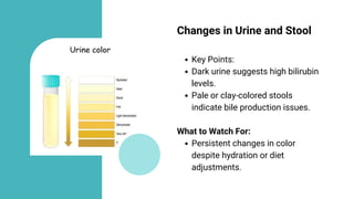 Early Signs of Liver Problems You Shouldn’t Ignore (PPT).pdf