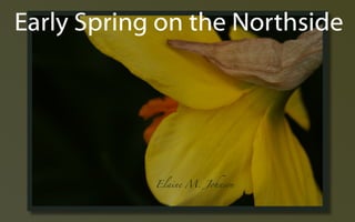 Early Spring ݺߣs