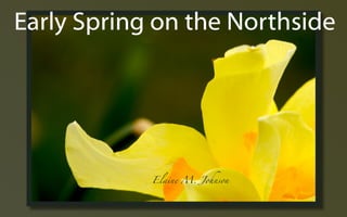 Early Spring ݺߣs