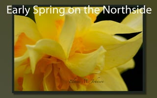 Early Spring ݺߣs