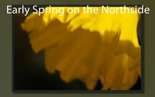 Early Spring ݺߣs