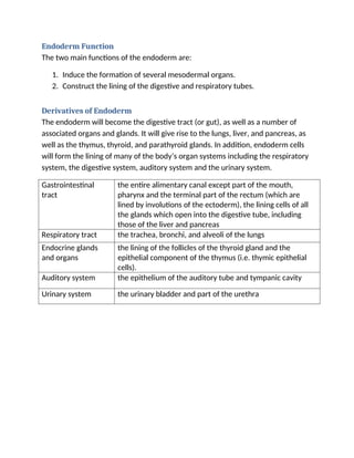 Endoderm Function
The two main functions of the endoderm are:
1. Induce the formation of several mesodermal organs.
2. Construct the lining of the digestive and respiratory tubes.
Derivatives of Endoderm
The endoderm will become the digestive tract (or gut), as well as a number of
associated organs and glands. It will give rise to the lungs, liver, and pancreas, as
well as the thymus, thyroid, and parathyroid glands. In addition, endoderm cells
will form the lining of many of the body’s organ systems including the respiratory
system, the digestive system, auditory system and the urinary system.
Gastrointestinal
tract
the entire alimentary canal except part of the mouth,
pharynx and the terminal part of the rectum (which are
lined by involutions of the ectoderm), the lining cells of all
the glands which open into the digestive tube, including
those of the liver and pancreas
Respiratory tract the trachea, bronchi, and alveoli of the lungs
Endocrine glands
and organs
the lining of the follicles of the thyroid gland and the
epithelial component of the thymus (i.e. thymic epithelial
cells).
Auditory system the epithelium of the auditory tube and tympanic cavity
Urinary system the urinary bladder and part of the urethra
 