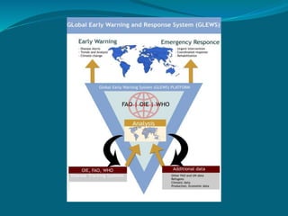 Early warning system for Risk.ppt