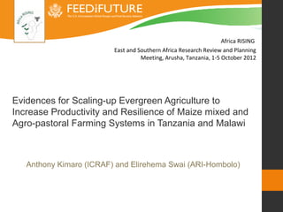 Africa RISING
                         East and Southern Africa Research Review and Planning
                                   Meeting, Arusha, Tanzania, 1-5 October 2012




Evidences for Scaling-up Evergreen Agriculture to
Increase Productivity and Resilience of Maize mixed and
Agro-pastoral Farming Systems in Tanzania and Malawi



   Anthony Kimaro (ICRAF) and Elirehema Swai (ARI-Hombolo)
 