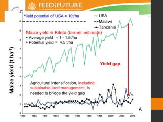 Evidence for scaling-up evergreen agriculture to increase productivity ...