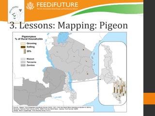 3. Lessons: Mapping: Pigeon
 