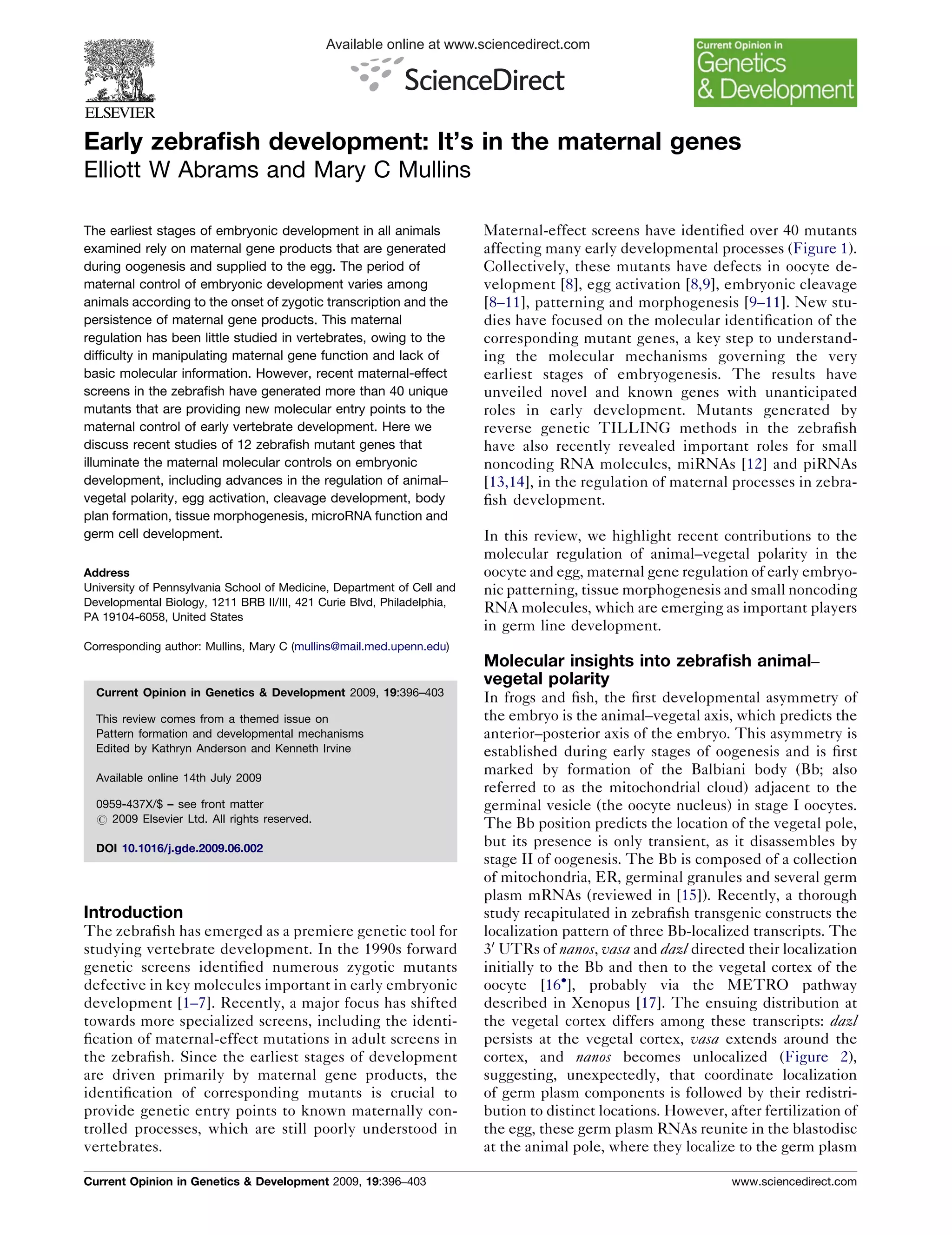 Early zebrafish development itis in | PDF