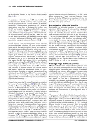 Early zebrafish development itis in | PDF