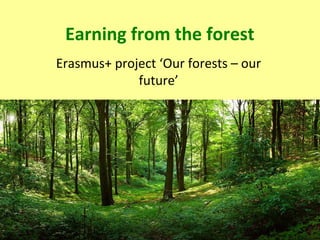 Earning from the forest
Erasmus+ project ‘Our forests – our
future’
 
