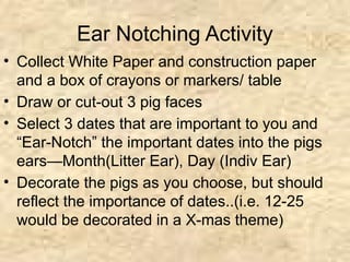Comprehensive Guide to Pig Ear Notching for Identification | PPTX