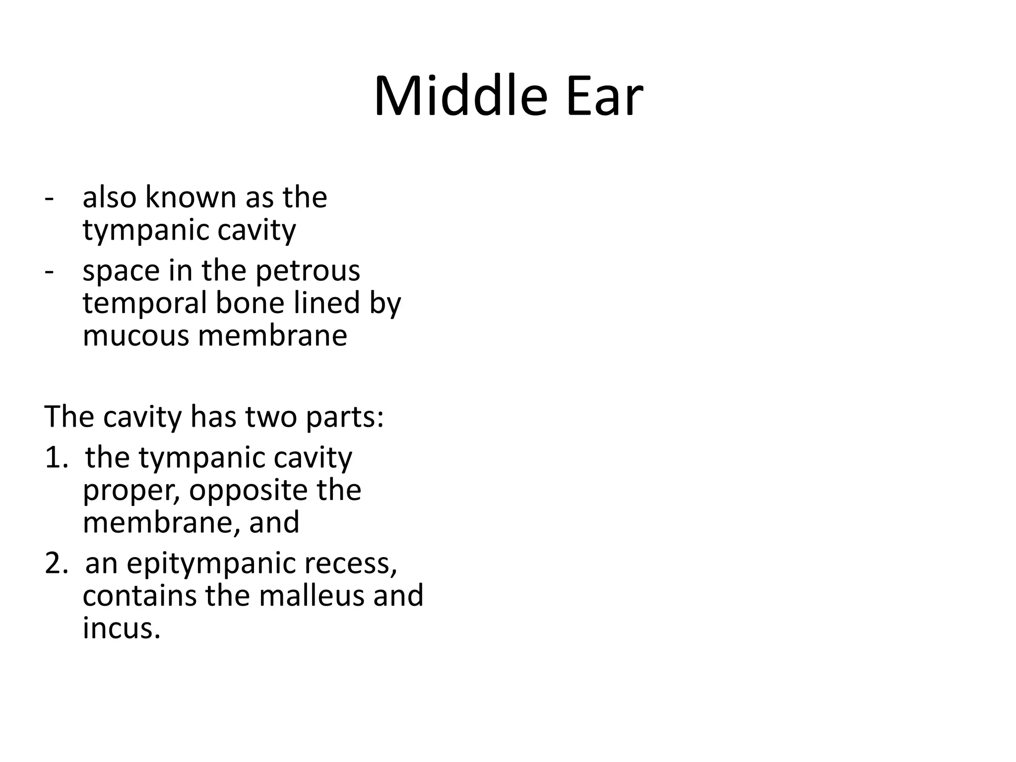 Middle Ear
- also known as the
  tympanic cavity
- space in the petrous
  temporal bone lined by
  mucous membrane

The cavity has two parts:
1. the tympanic cavity
   proper, opposite the
   membrane, and
2. an epitympanic recess,
   contains the malleus and
   incus.
 